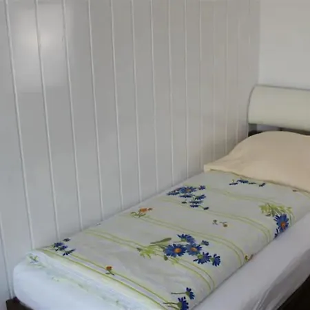 Europa Hotel Waldshut-Tiengen