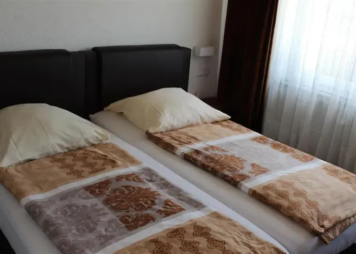 Europa 4* Waldshut-Tiengen